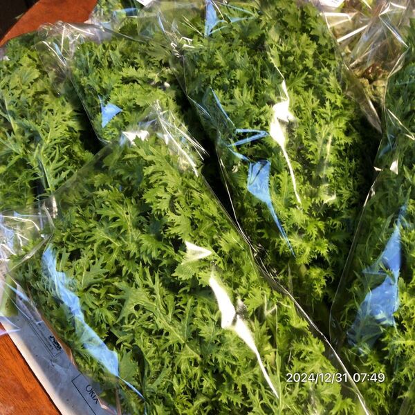 栽培期間中農薬化学肥料不使用野菜7点