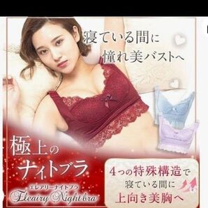 ナイトブラ 下着 ブラ M