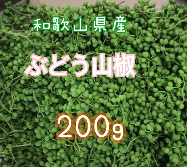 和歌山県有田産 ぶどう山椒 200g