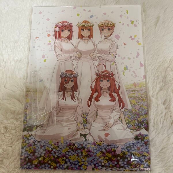 五等分の花嫁 DVD 特典 アクリルスタンド アクリルプレート