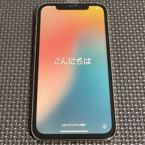 iPhone 12 Pro Max 256GB ゴールド