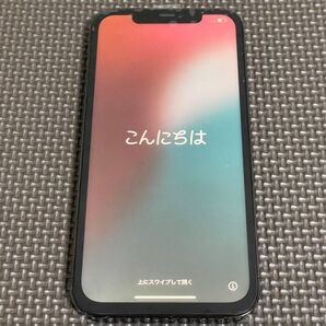 iPhone 12 Pro Max 256GB パシフィックブルー