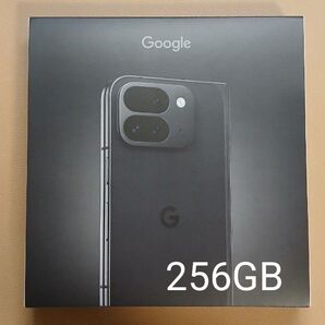 Google Pixel 9 Pro Fold 短期使用