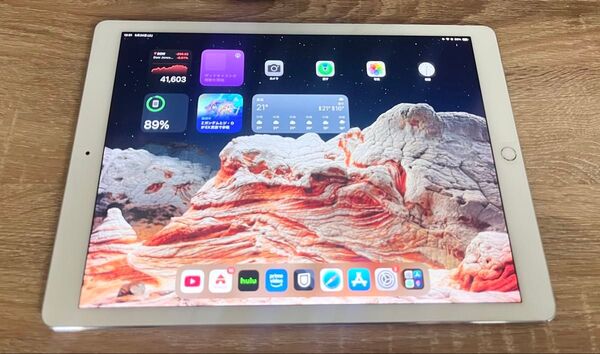 Apple iPad PRO 第二世代 12.9インチ 256GB