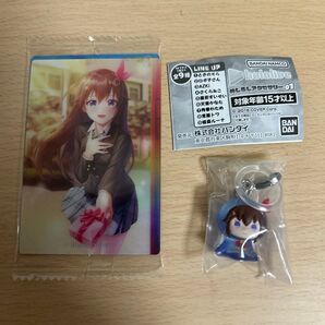 ホロライブ ときのそら めじるしアクセサリー