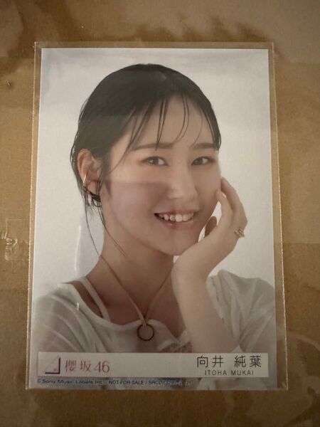 櫻坂46 向井純葉 addiction 封入生写真