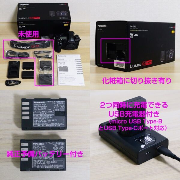 【週末限定値下げ】【美品・おまけ付き】パナソニック LUMIX DC-G9 ボディ(7075ショット)★元スチルフラッグシップ機