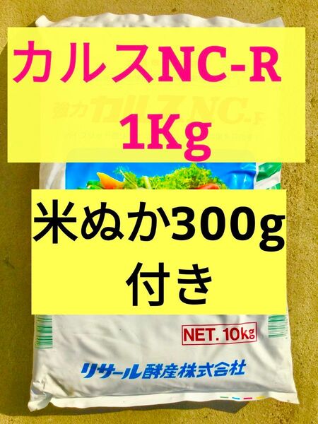 カルスNC-R 粉状 1kg 小分け 米ぬか300g付き 開封日 最新