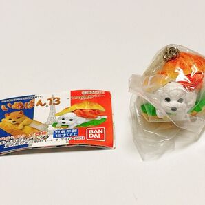 いぬぱん13 トイプードロワッサンド トイプードル ガチャ