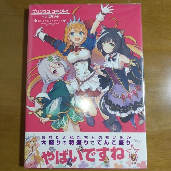 プリンセスコネクト! Re:Dive ビジュアルファンブック