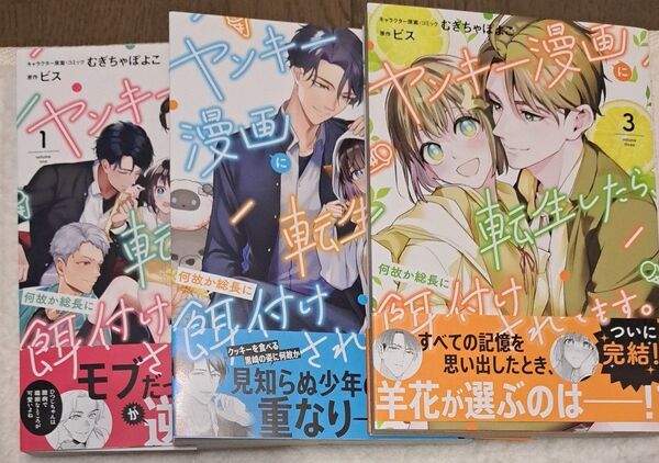 ヤンキー漫画に転生したら、何故か総長に餌付けされてます。 1〜3巻セット