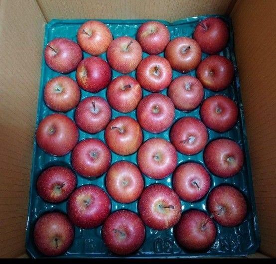 サンふじ りんご 青森県産 5キロ 30玉 小玉