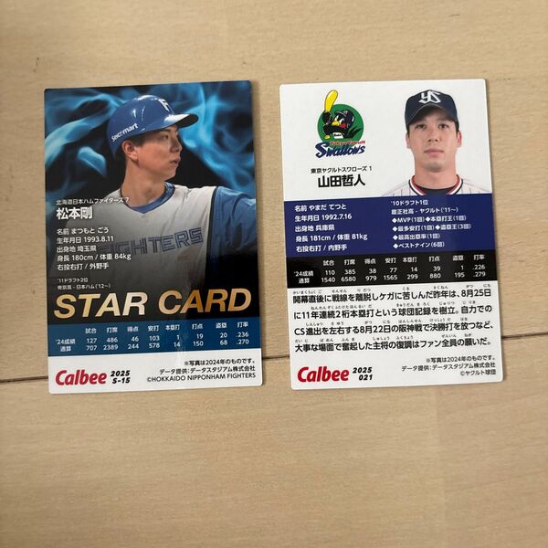 松本剛スターカード 山田哲人 プロ野球ポテトチップスカード 2025