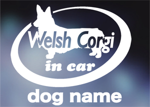  Corgi in car sticker. dog sticker 