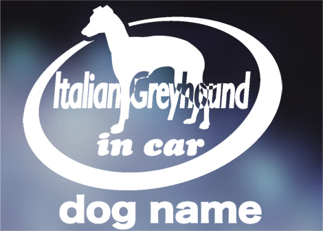 イタリアングレーハウンド in car ステッカー。犬ステッカー