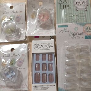 セリア ダイソー クラッシュ シェル パステル ネイル チップ セット ジェル レジン マグネット まとめ売り アート