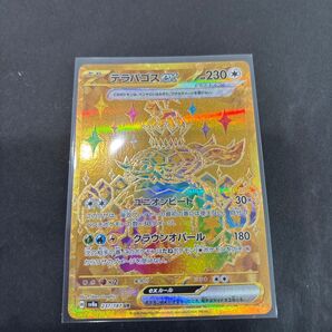 テラパゴス ex UR