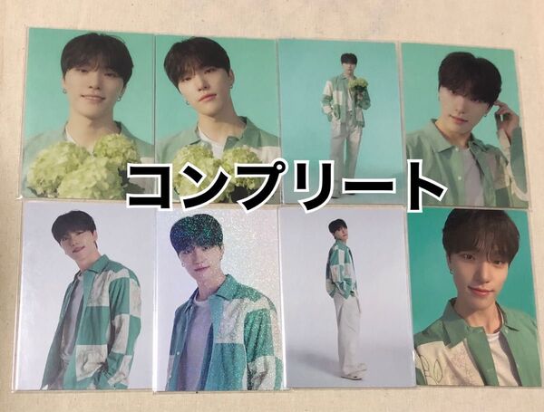 SEVENTEEN HANABI ディノ トレカ コンプリート コンプ セブチ メッセージ セルカ まとめ売り