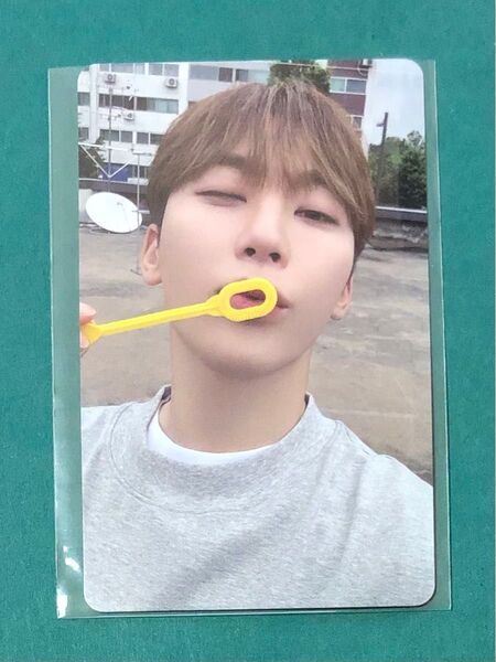 SEVENTEEN ALWAYS YOURS 会場限定 スングァン 愛知 名古屋 トレカ weverse セブチ
