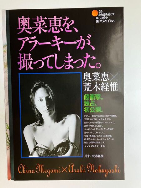奥菜恵 沢尻エリカ 週刊プレイボーイ グラビアページ 切り抜き 袋とじは未開封 レア お宝写真 アラーキー