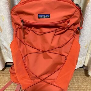 パタゴニア テラヴィア-パック 22L Lサイズ
