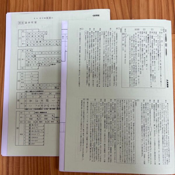 英進館 公立高校模試 演習 B.D 2回分 解答 解答用紙付き 中3 入試対策 塾教材