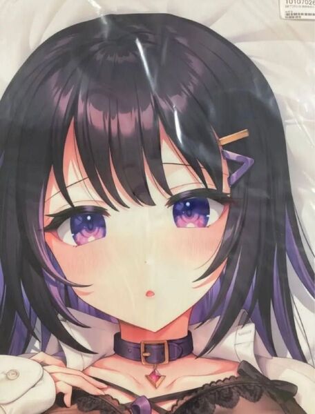 フトンノナカ れいな抱き枕カバー ライクトロンリッチ版 ごましおポン酢