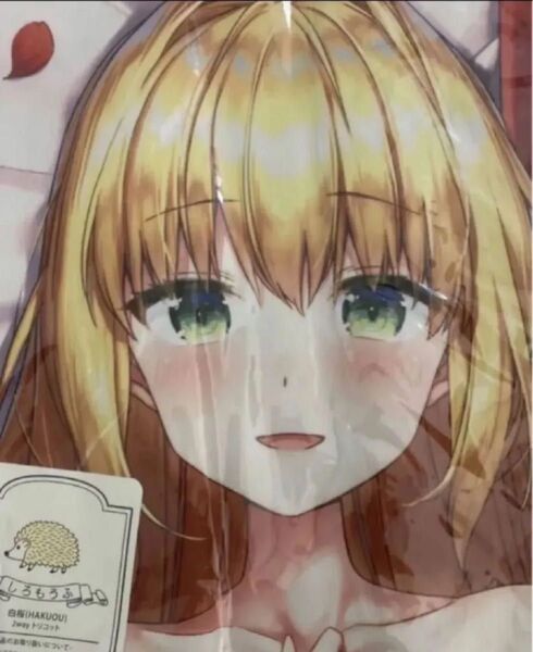 Fate Grand Order FGO EXTRA ネロ・クラウディウス 抱き枕カバー 妄想ブラック 桝石きのと