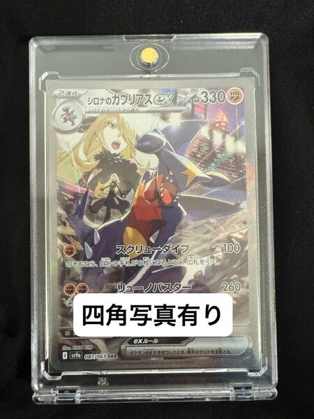 ポケモンカード 熱風アリーナ シロナのガブリアスex sar マグネットローダー付き 無し割引可能