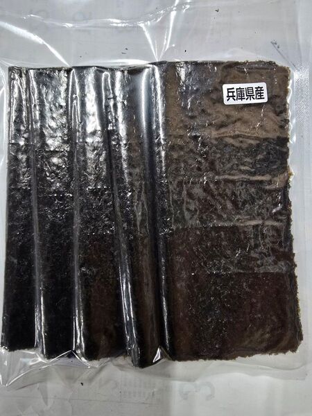 訳あり乾海苔全型50枚 3月生産