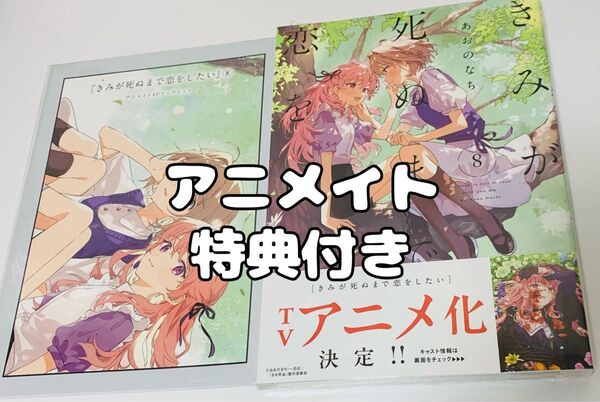 きみが死ぬまで恋をしたい 8巻 アニメイト 特典 リーフレット付き シュリンク付き 未開封