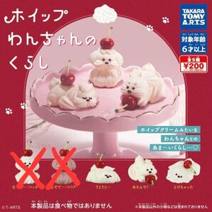ホイップわんちゃんのくらし