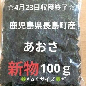 鹿児島県長島町産あおさ あおさのり 海苔 乾燥あおさ あおさ 鹿児島県産あおさ