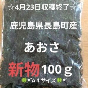 鹿児島県長島町産あおさ あおさのり 海苔 乾燥あおさ あおさ 鹿児島県産あおさ