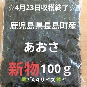 鹿児島県長島町産あおさ あおさのり 海苔 乾燥あおさ あおさ 鹿児島県産あおさ