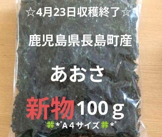 鹿児島県長島町産あおさ あおさのり 海苔 乾燥あおさ あおさ 鹿児島県産あおさ