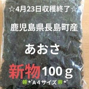 鹿児島県長島町産あおさ あおさのり 海苔 乾燥あおさ あおさ 鹿児島県産あおさ
