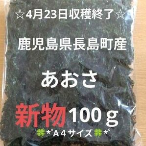鹿児島県長島町産あおさ あおさのり 海苔 乾燥あおさ あおさ 鹿児島県産あおさ