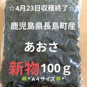 鹿児島県長島町産あおさ あおさのり 海苔 乾燥あおさ あおさ 鹿児島県産あおさ