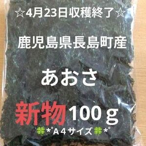 鹿児島県長島町産あおさ あおさのり 海苔 乾燥あおさ あおさ 鹿児島県産あおさ