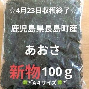 鹿児島県長島町産あおさ あおさのり 海苔 乾燥あおさ あおさ 鹿児島県産あおさ
