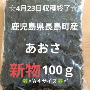 鹿児島県長島町産あおさ あおさのり 海苔 乾燥あおさ あおさ 鹿児島県産あおさ
