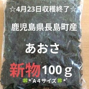 鹿児島県長島町産あおさ あおさのり 海苔 乾燥あおさ あおさ 鹿児島県産あおさ