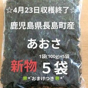 鹿児島県長島町産あおさ あおさのり 海苔 乾燥あおさ あおさ 鹿児島県産あおさ