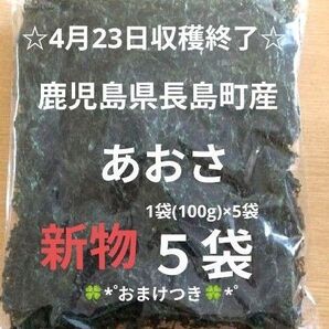 鹿児島県長島町産あおさ あおさのり 海苔 乾燥あおさ あおさ 鹿児島県産あおさ