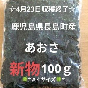 鹿児島県長島町産あおさ あおさのり 海苔 乾燥あおさ あおさ 鹿児島県産あおさ