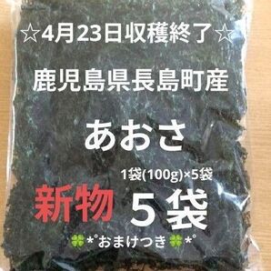 鹿児島県長島町産あおさ あおさのり 海苔 乾燥あおさ あおさ 鹿児島県産あおさ