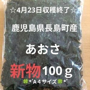 鹿児島県長島町産あおさ あおさのり 海苔 乾燥あおさ あおさ 鹿児島県産あおさ