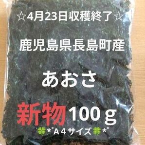 鹿児島県長島町産あおさ あおさのり 海苔 乾燥あおさ あおさ 鹿児島県産あおさ