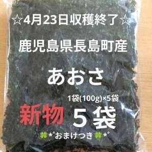 鹿児島県長島町産あおさ あおさのり 海苔 乾燥あおさ あおさ 鹿児島県産あおさ
